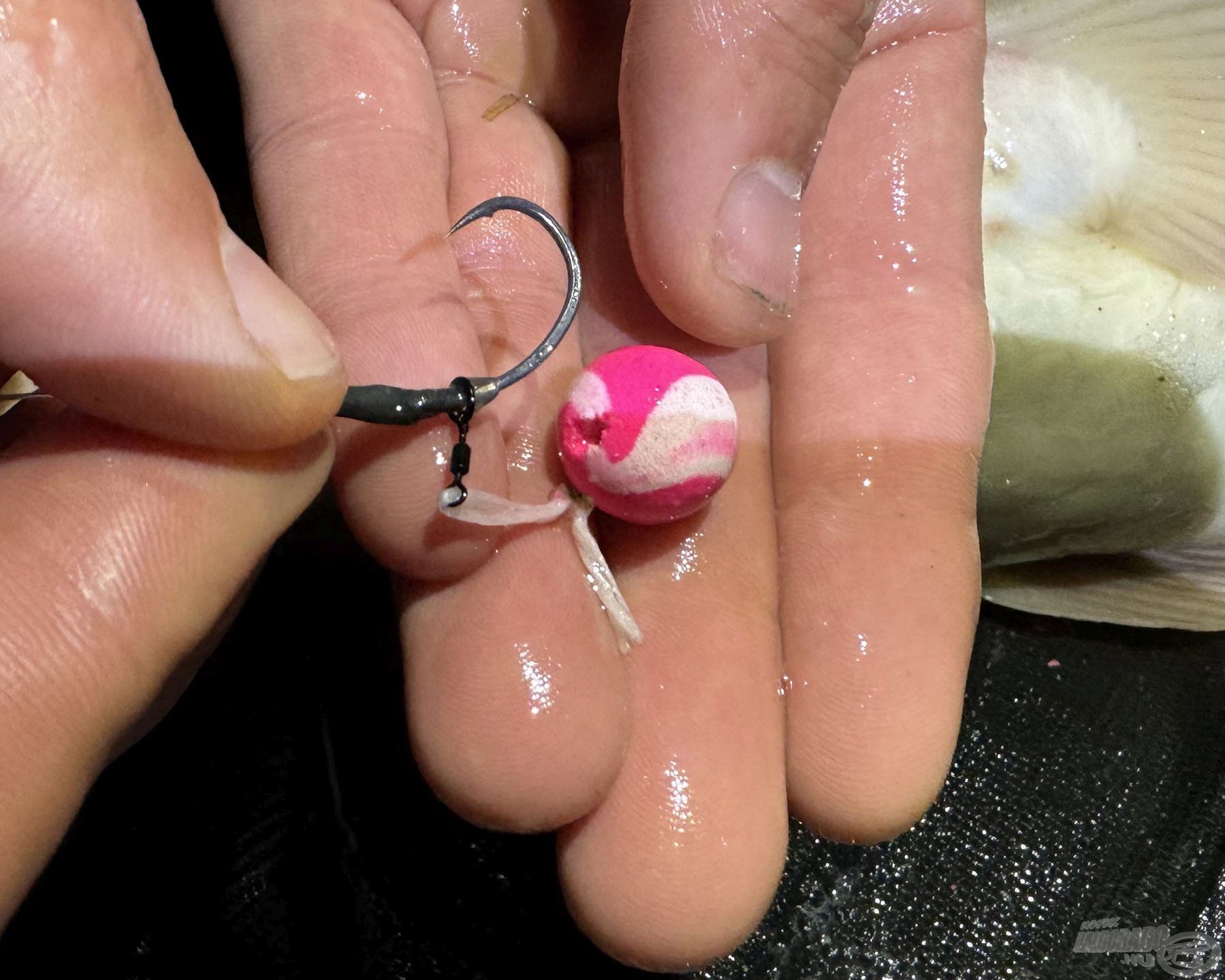Stílszerűen a Ronnie Rig Pop Up 14 mm-es csali SEA MONSTER változatára jött a MONSTER tavon