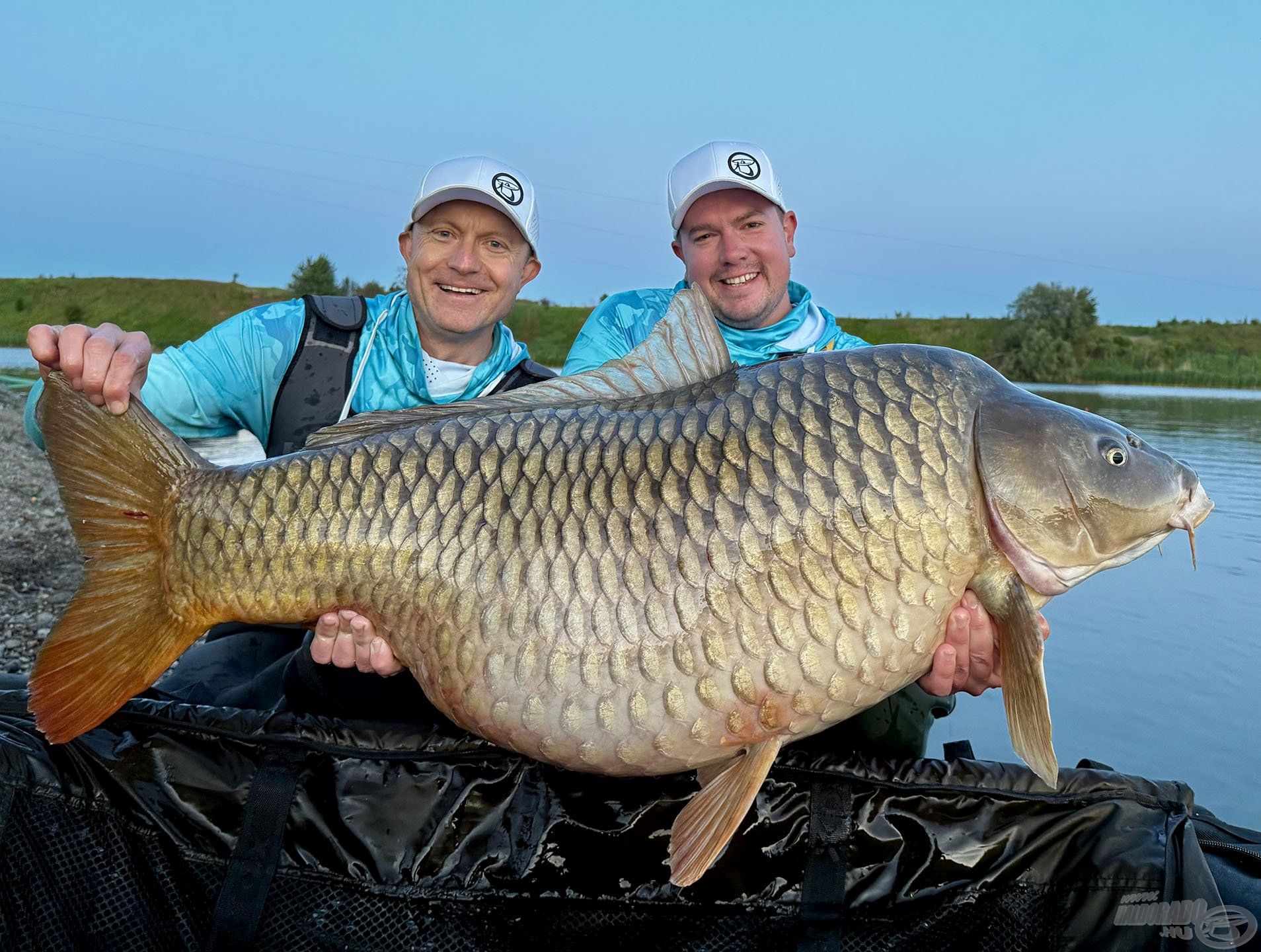 A tó egyik ritkán látott, öreg halát is sikerült horogra csalni, amelynek pontos súlya 30,35 kg volt!!!