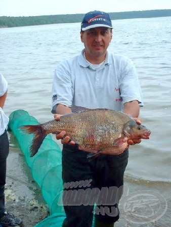 Ambrus Tibor gyönyörű hala