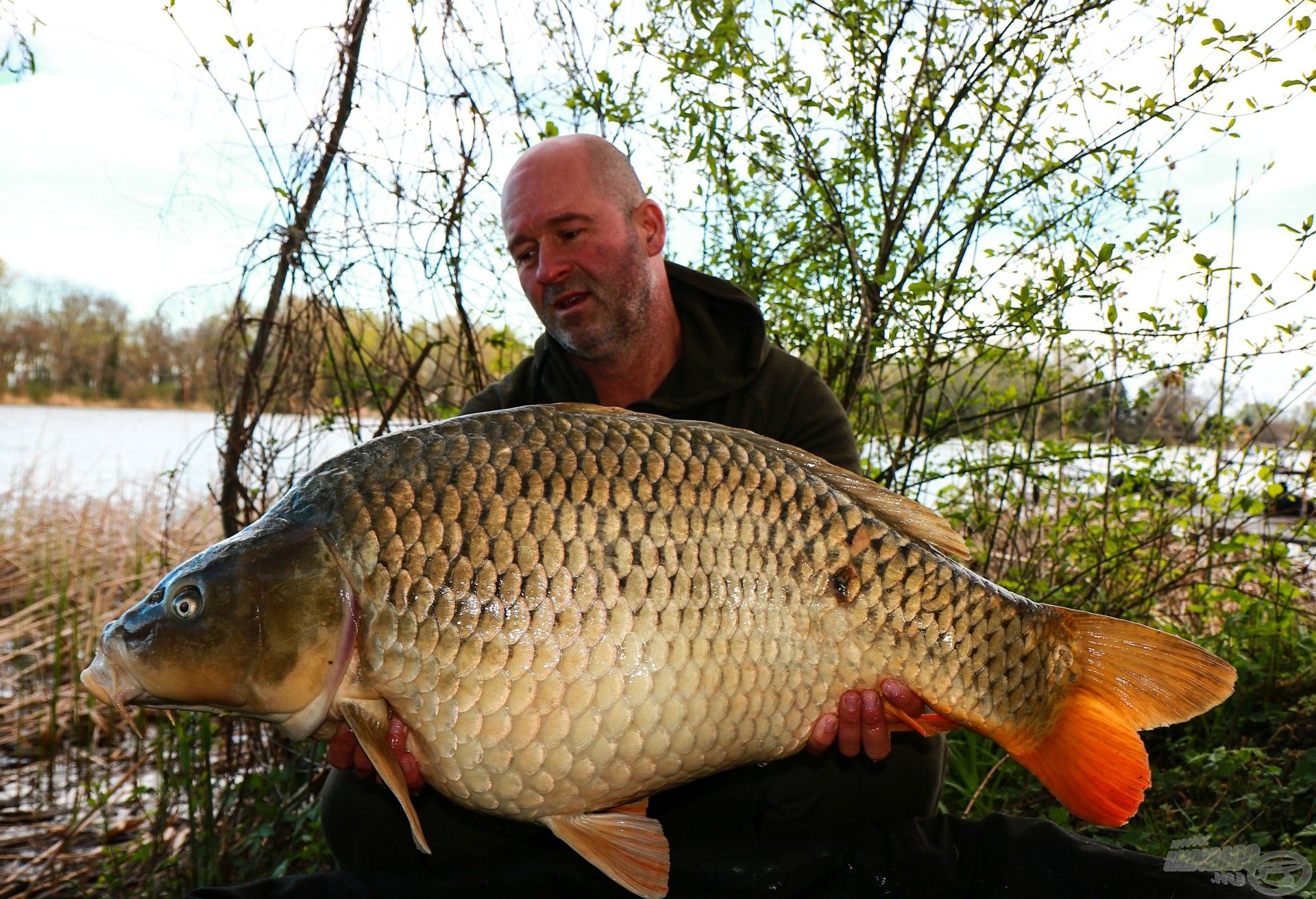 A következő reggel az erős szélben, egy izgalmas fárasztás végén Rolf ezzel a szép, 16 kg fölötti ponttyal fotózkodhatott