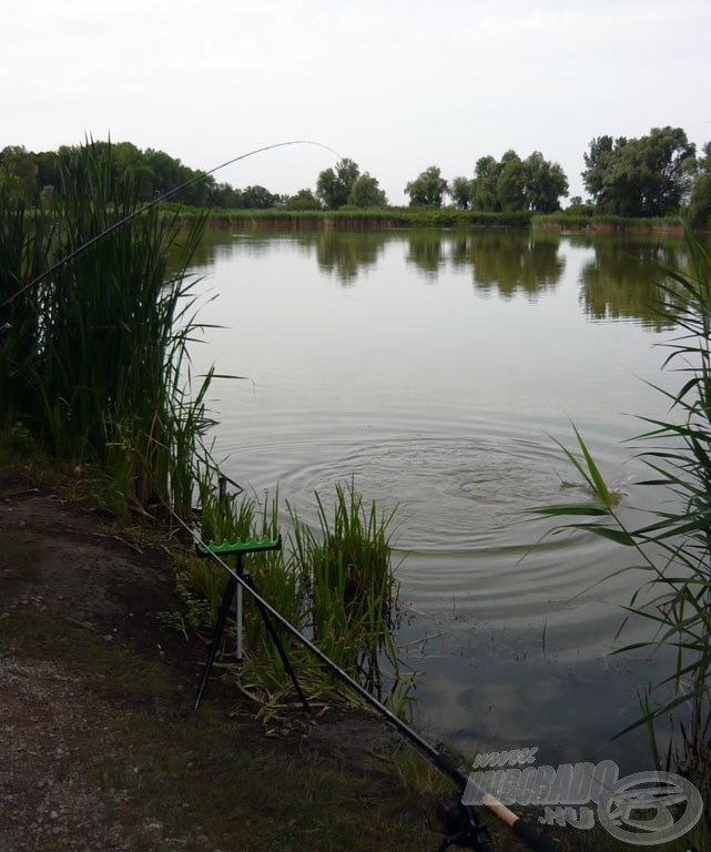 A part előtt még fordult néhányat, de hamar a szákban végezte