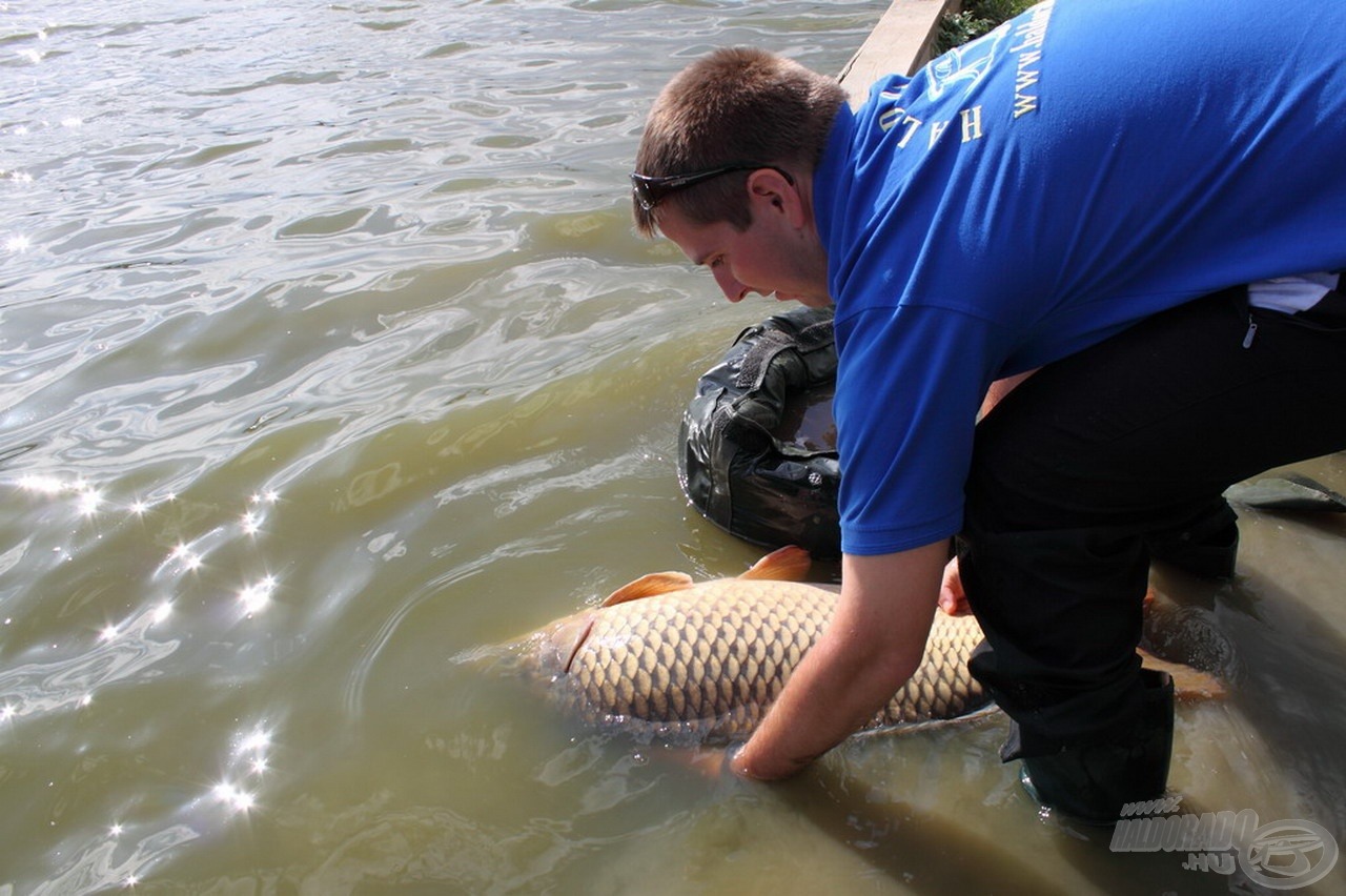 Catch & Release, természetesen!!!