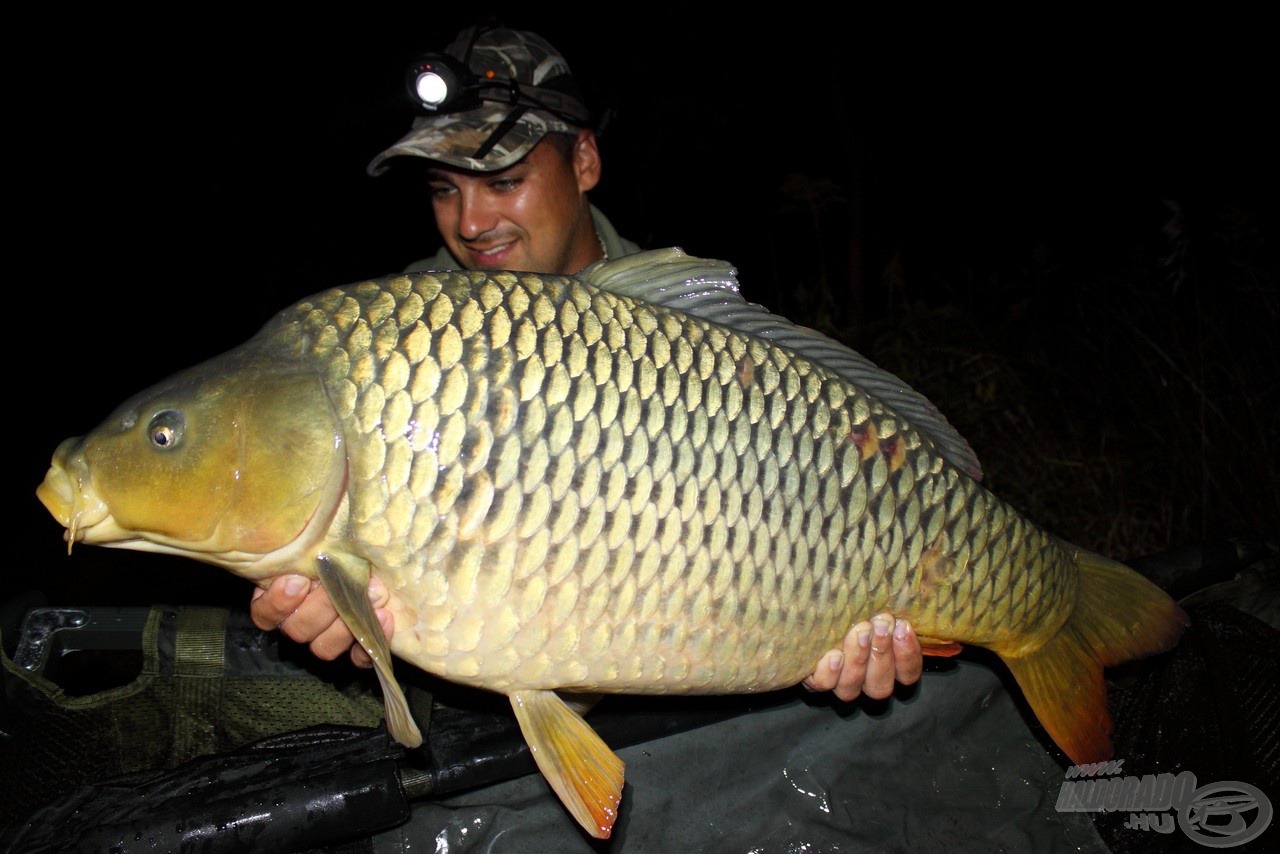 Első 10 kg feletti ponty, ismét éjszaka. A nagyobb és óvatosabb halak csak ekkor foghatók, így mindenképpen érdemes az esti órákban is próbálkozni!