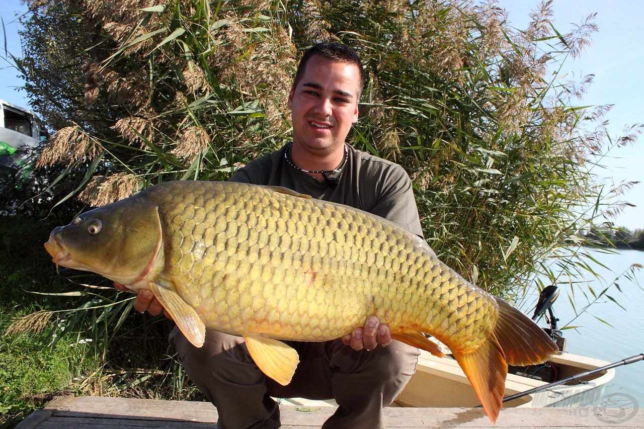 A Fish Arénára jellemző a hosszúkás tőpontyok