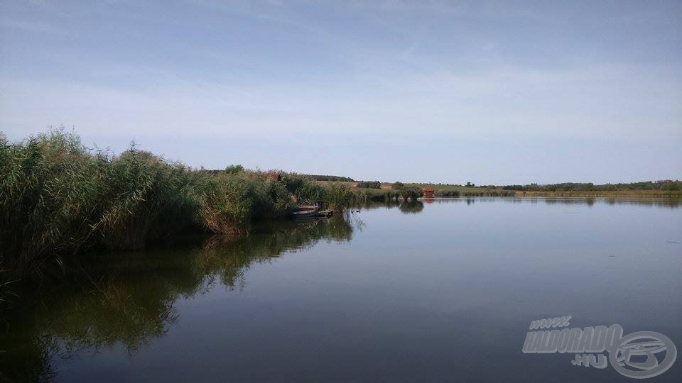 Ilyen kép fogadott minket Biatorbágyon, a nagy pontyok és nagy tokok birodalmában