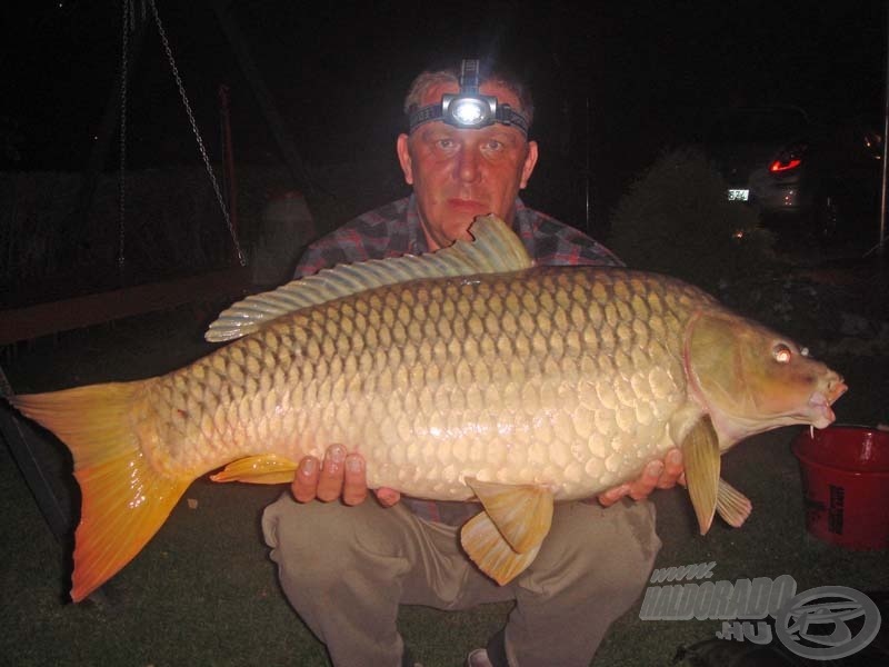 Péter első hala 13,1 kg-os gyönyörű ponty