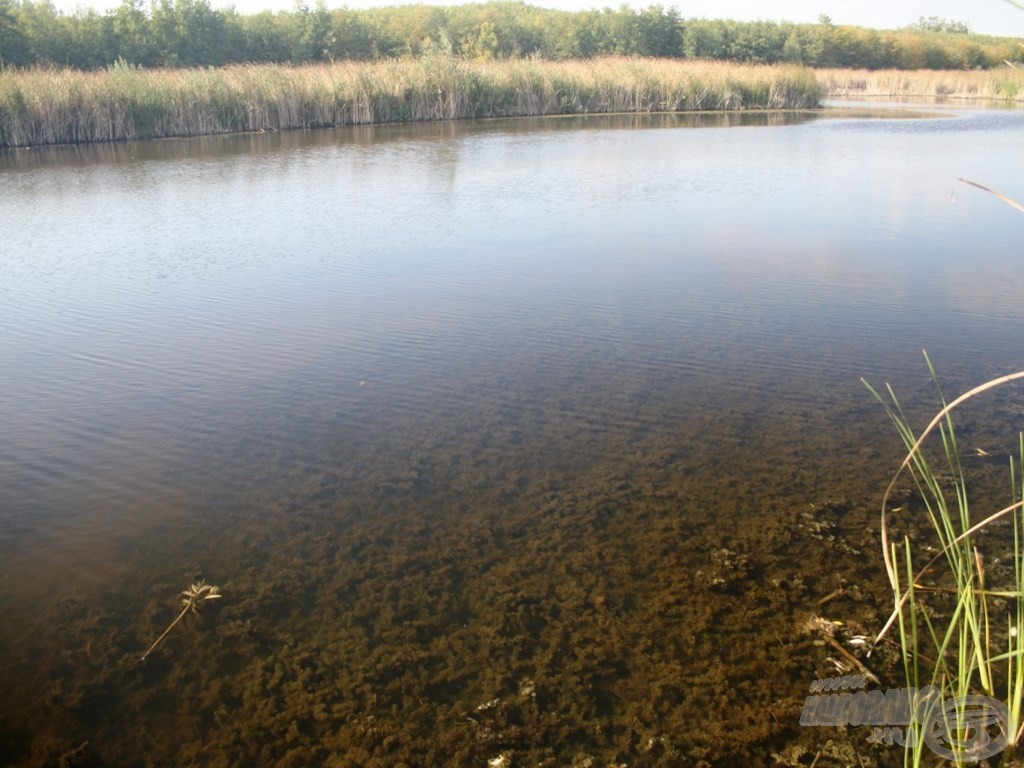 Rendkívül sekély és hínáros