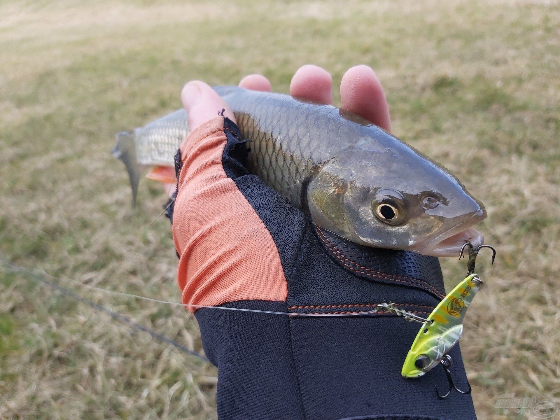 Remélem, a kezemben lévő apró harcosok megerősödnek, és még találkozhatunk velük