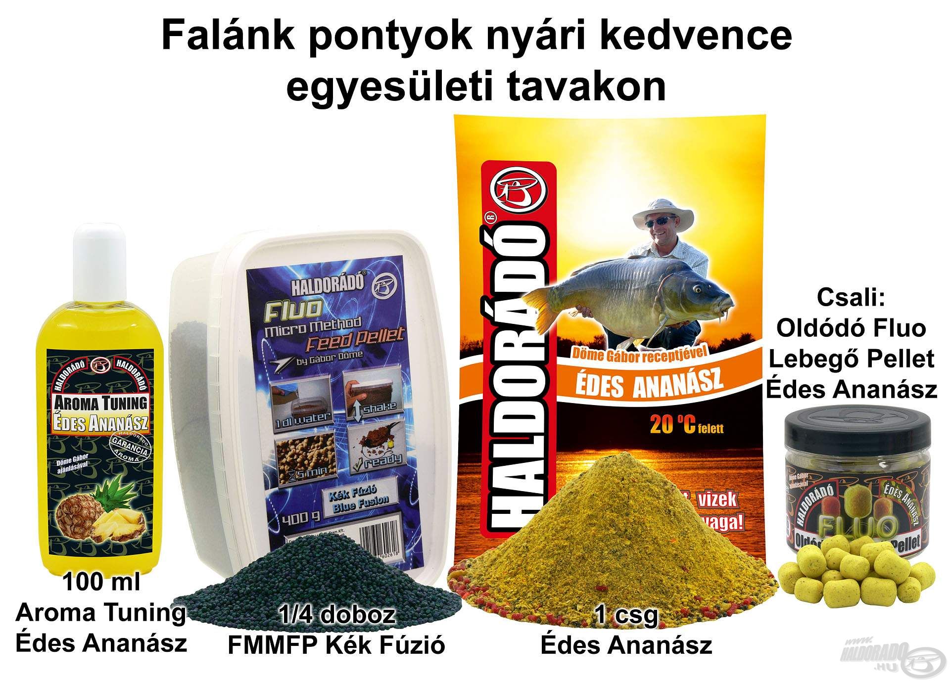 Falánk pontyok nyári kedvence egyesületi tavakon