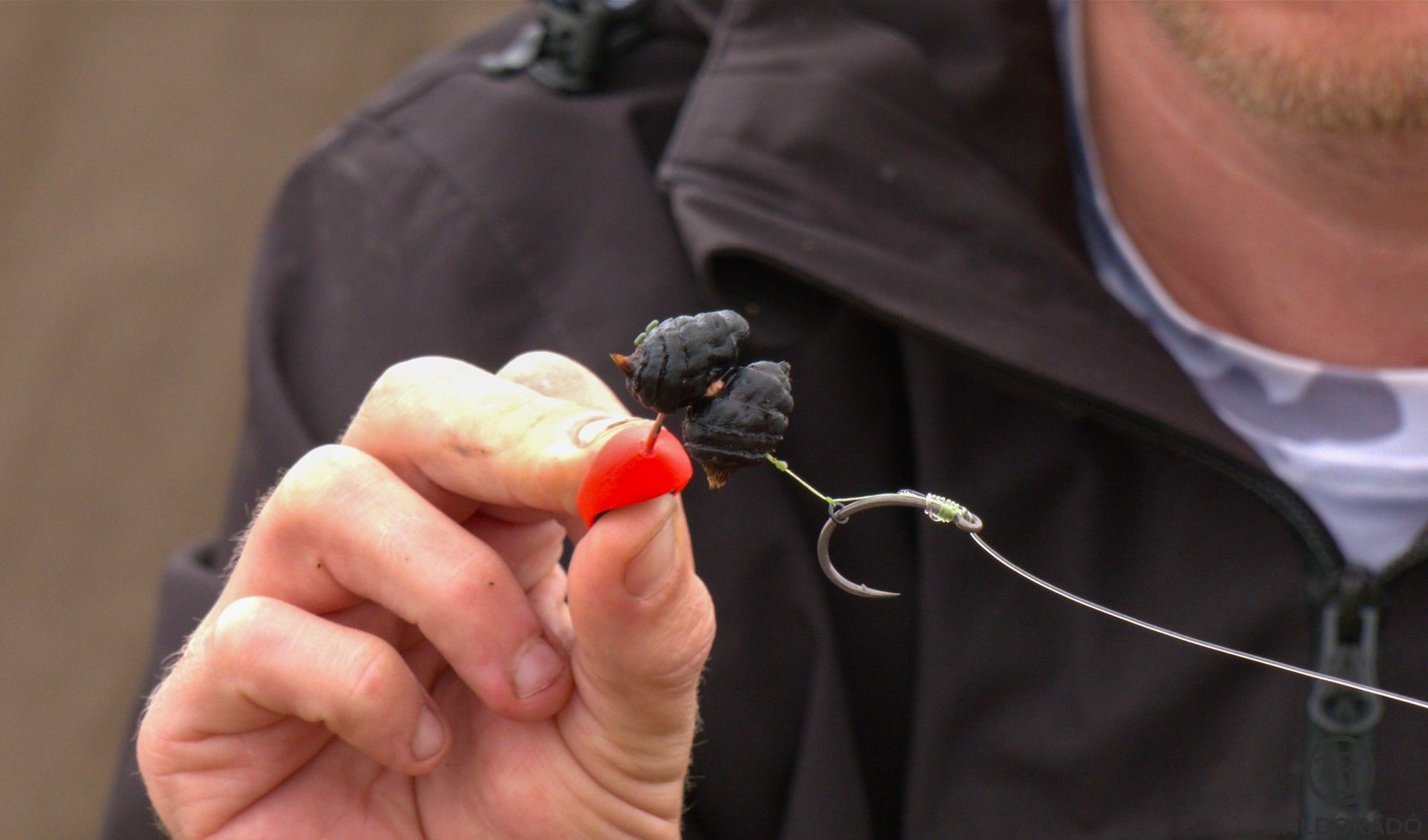 Norbi a dupla fekete tigrismogyorós csalizást részesíti előnyben