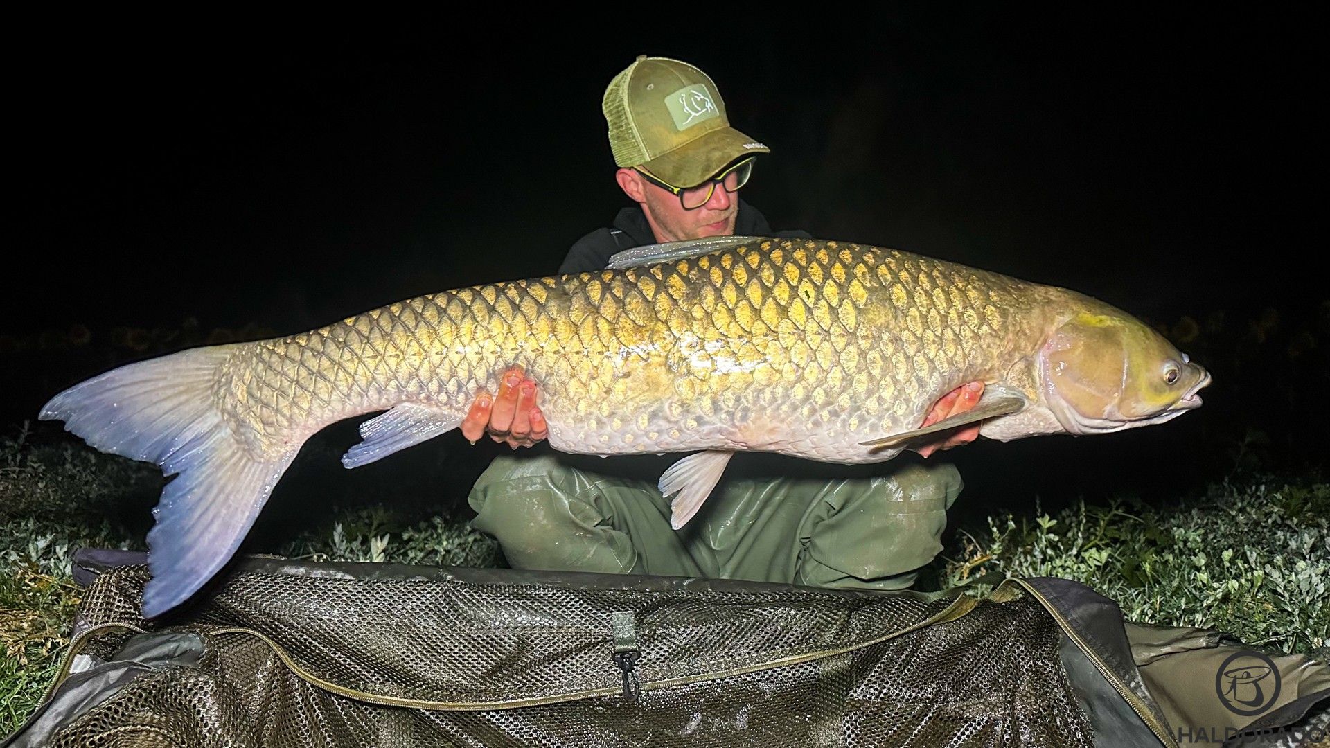 Norbi több szép amurt fogott már itt