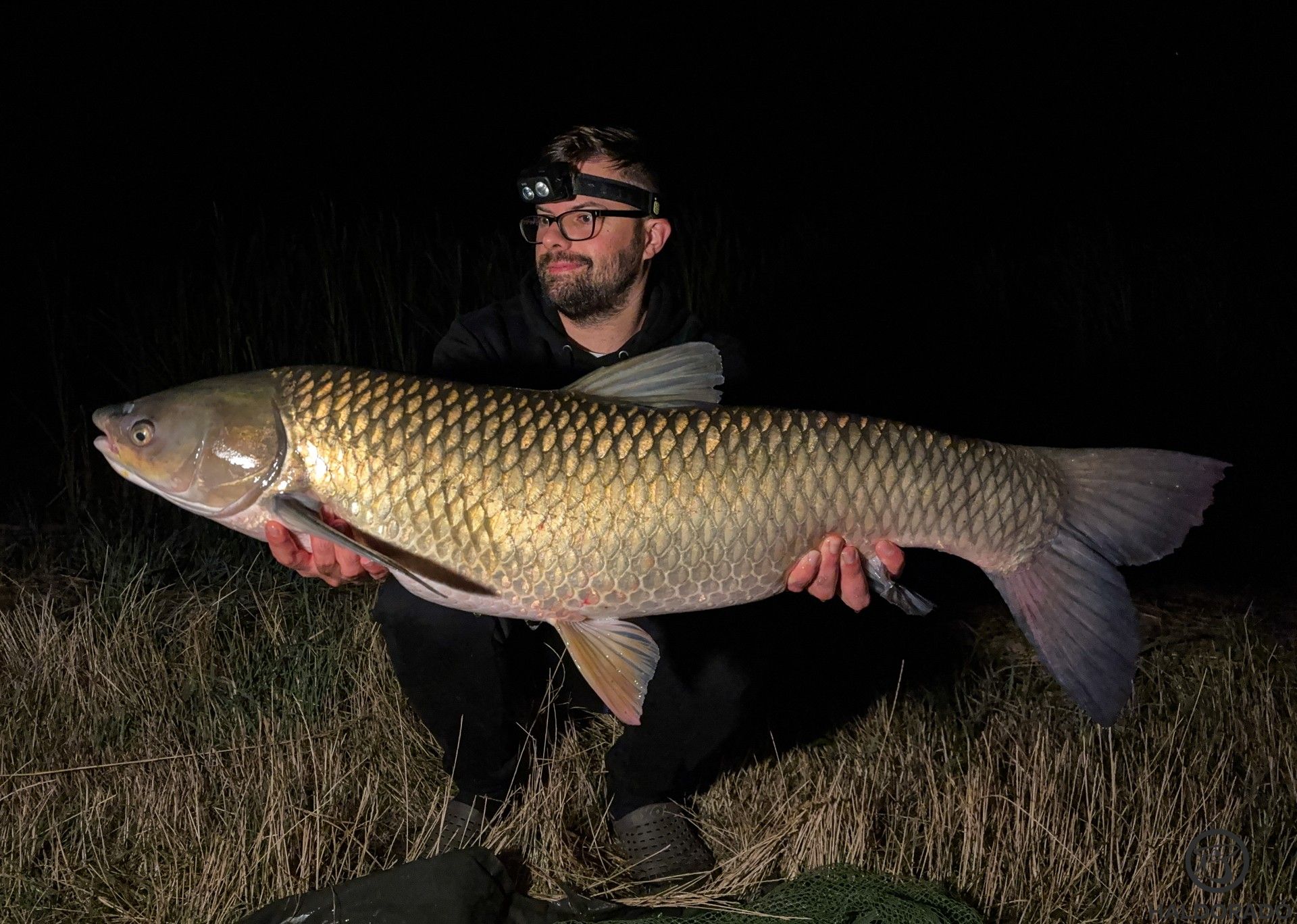 A bevált módszerem már az első horgászat alkalmával eredményesnek mutatkozott