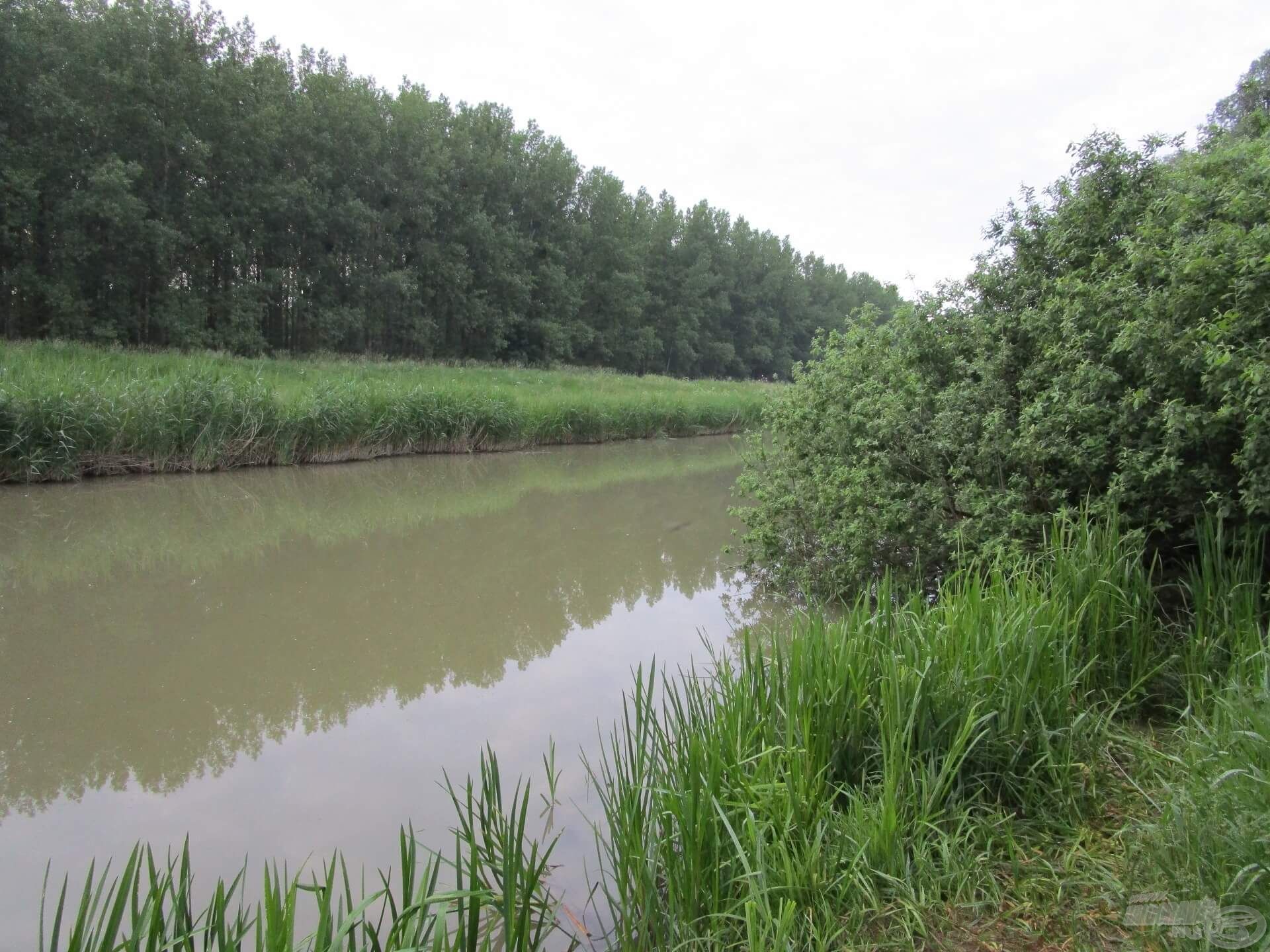 Korán keltem, de mire a vízpartra értem, már kint volt egy horgásztárs. Az egyik jónak vélt hely szerencsére szabad volt