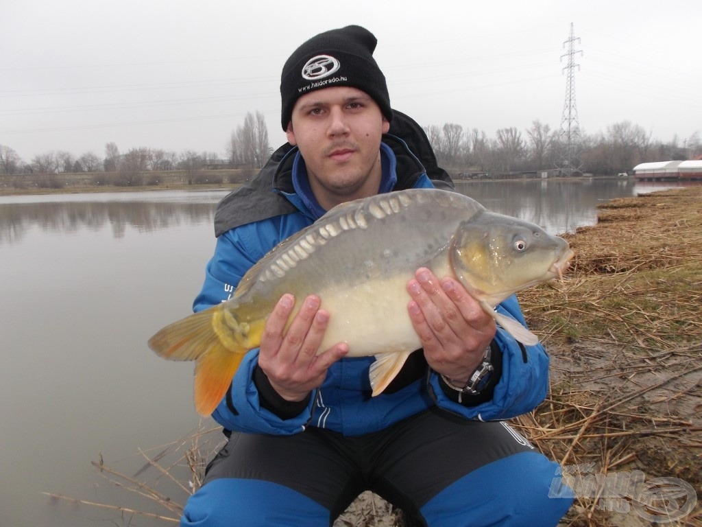 Néhány ponty a 3 kg-ot is meghaladta, élmény volt rájuk horgászni