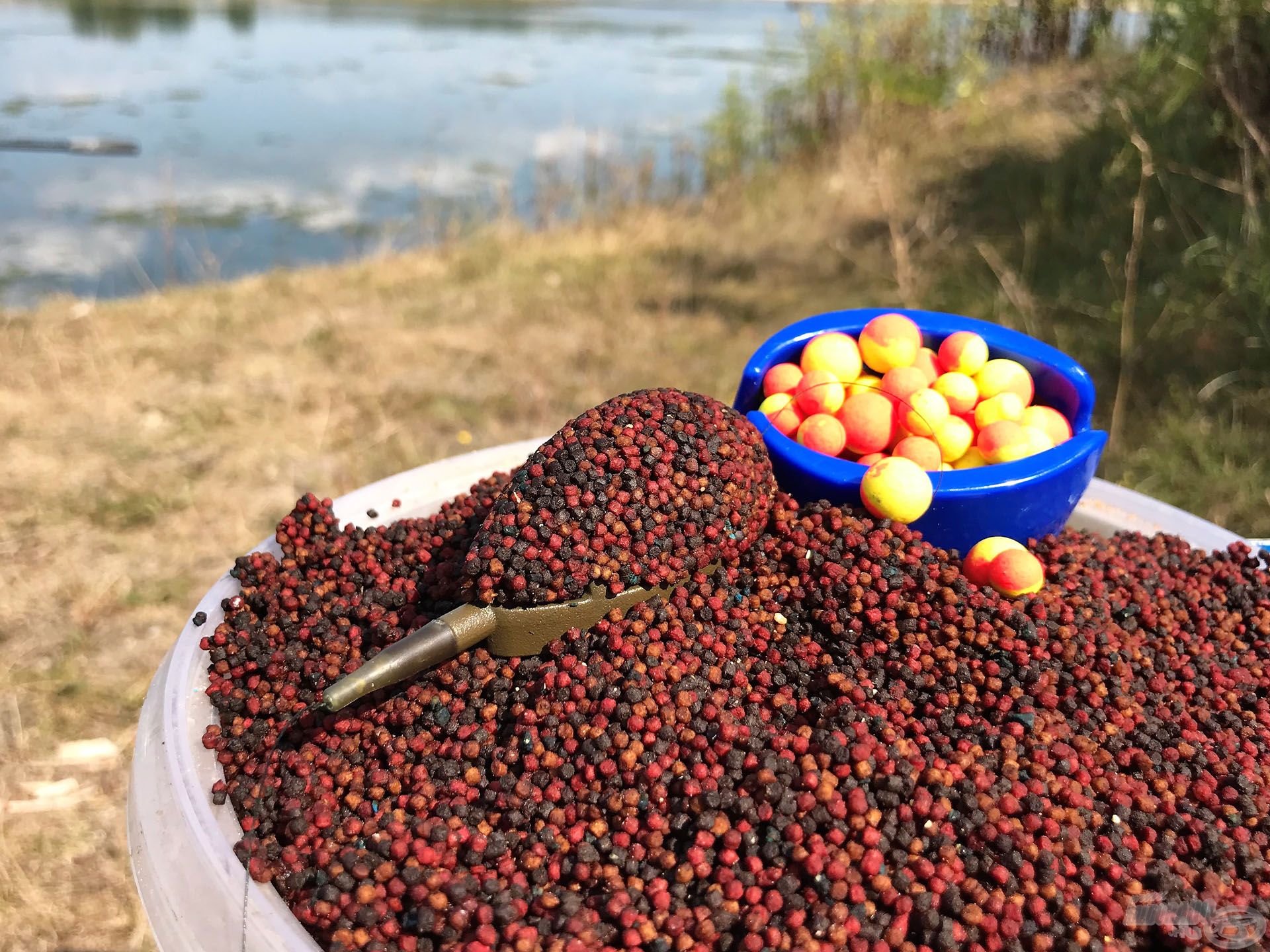 Ezek a színes szemek felkeltik a legóvatosabb hal figyelmét is