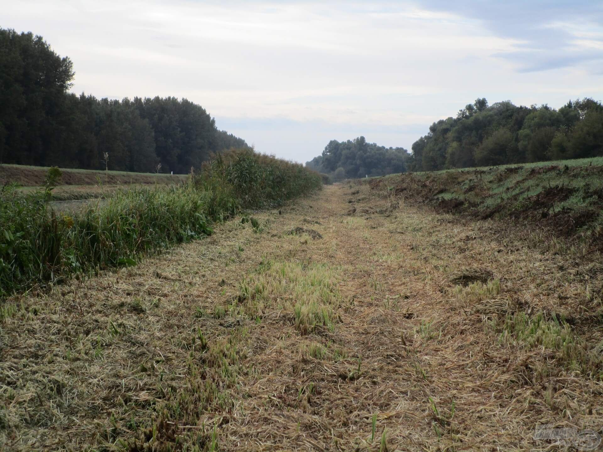 Néha lekaszálják a vízparti növényzetet, ennek leginkább a pergető horgászok örülnek