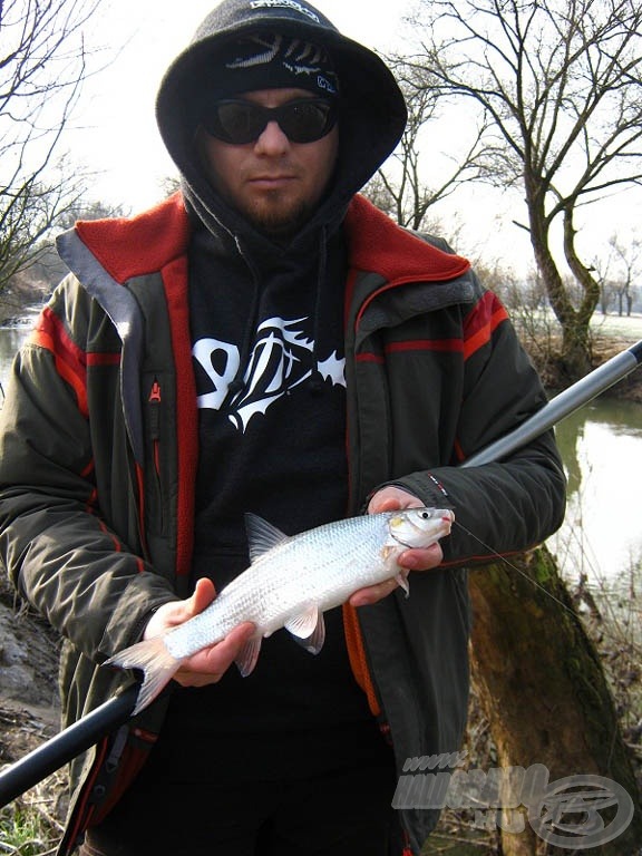 2011 első hala