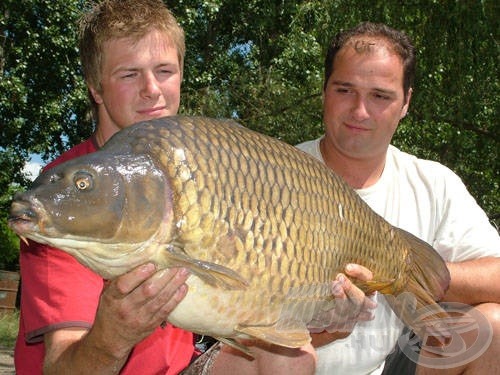 Az Imperial Baits gyönyörű pontyokat fogott…