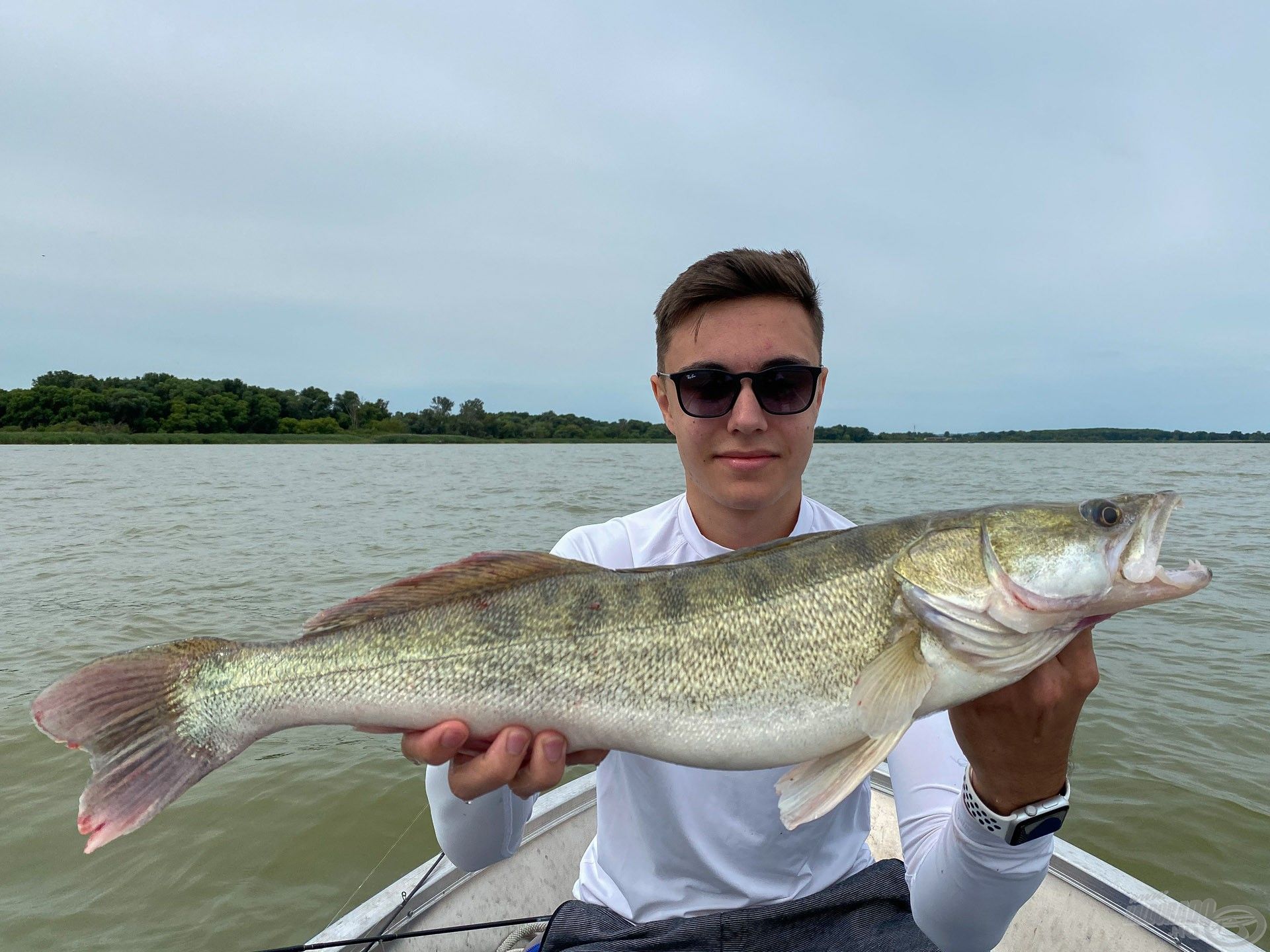 3 kg-os süllő az új rekordja