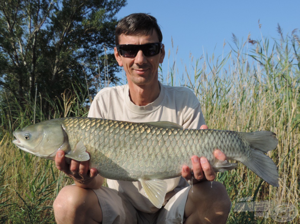 Gyuri és az első torpedó