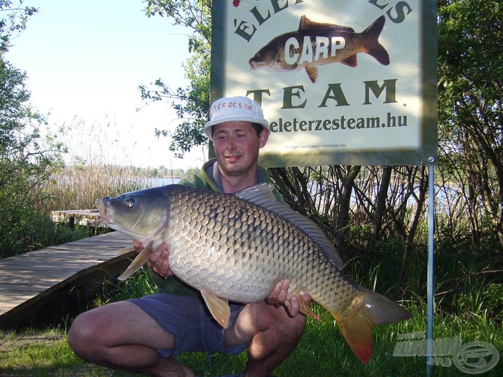 8,5 kg-os, hibátlan bokorlakó