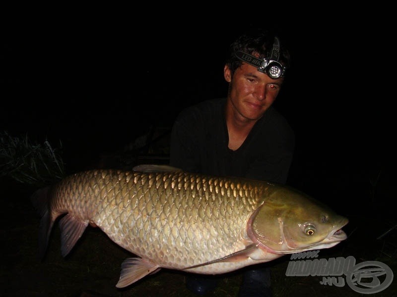 Nagy ponty után nagy amur, a „fűevő” fenevad súlya nem kevesebb, mint 11,68 kg!