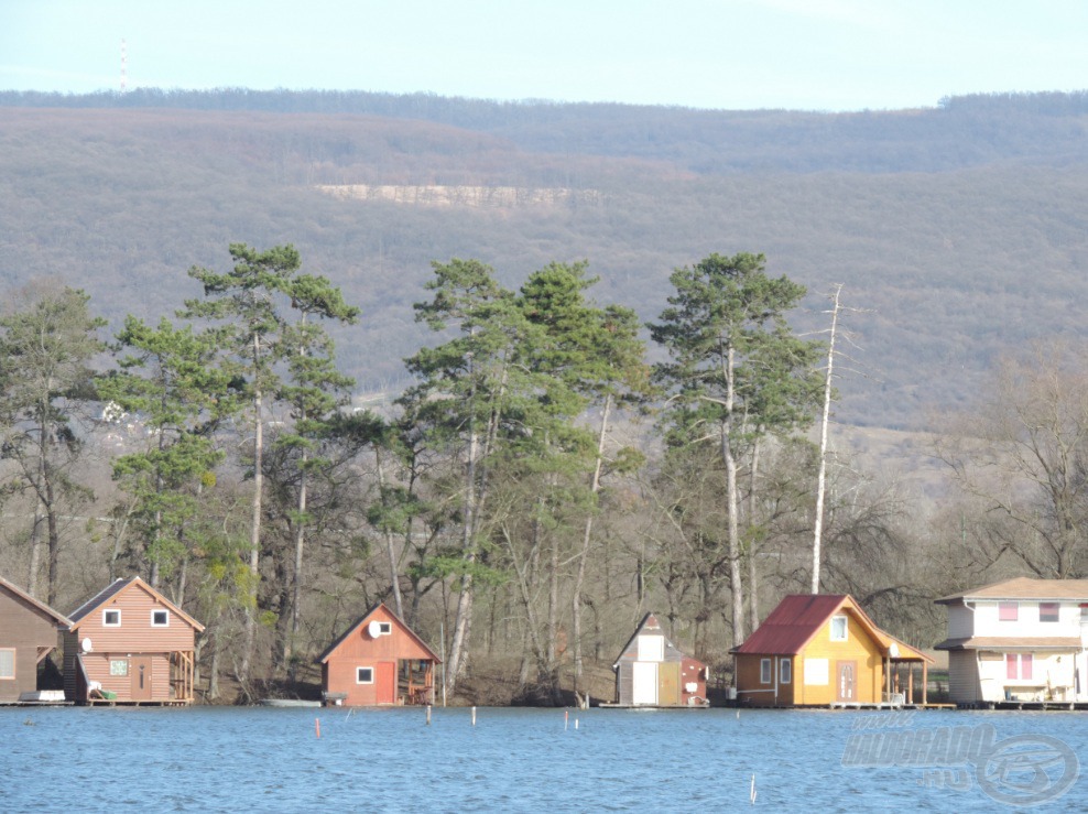 Házak, fenyők, hegyek