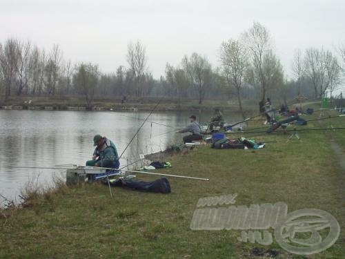 Nagy volt a tanácstalanság a szektorunkban