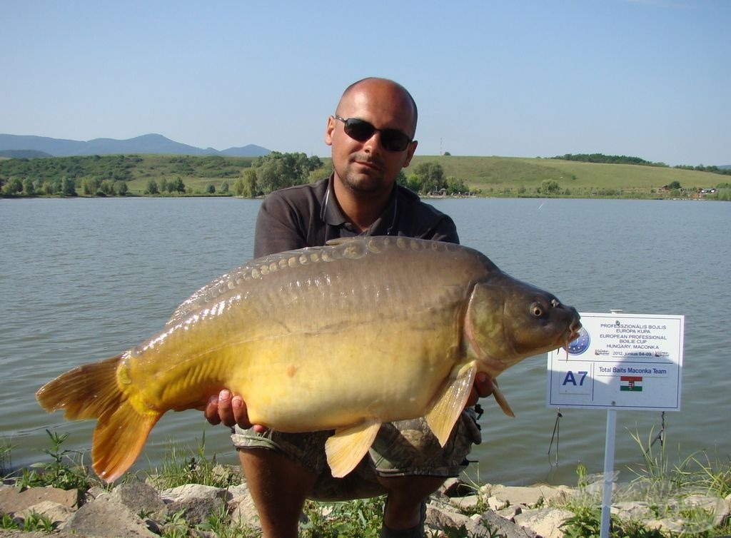 Tökéletes tükrösök: Total Baits Maconka