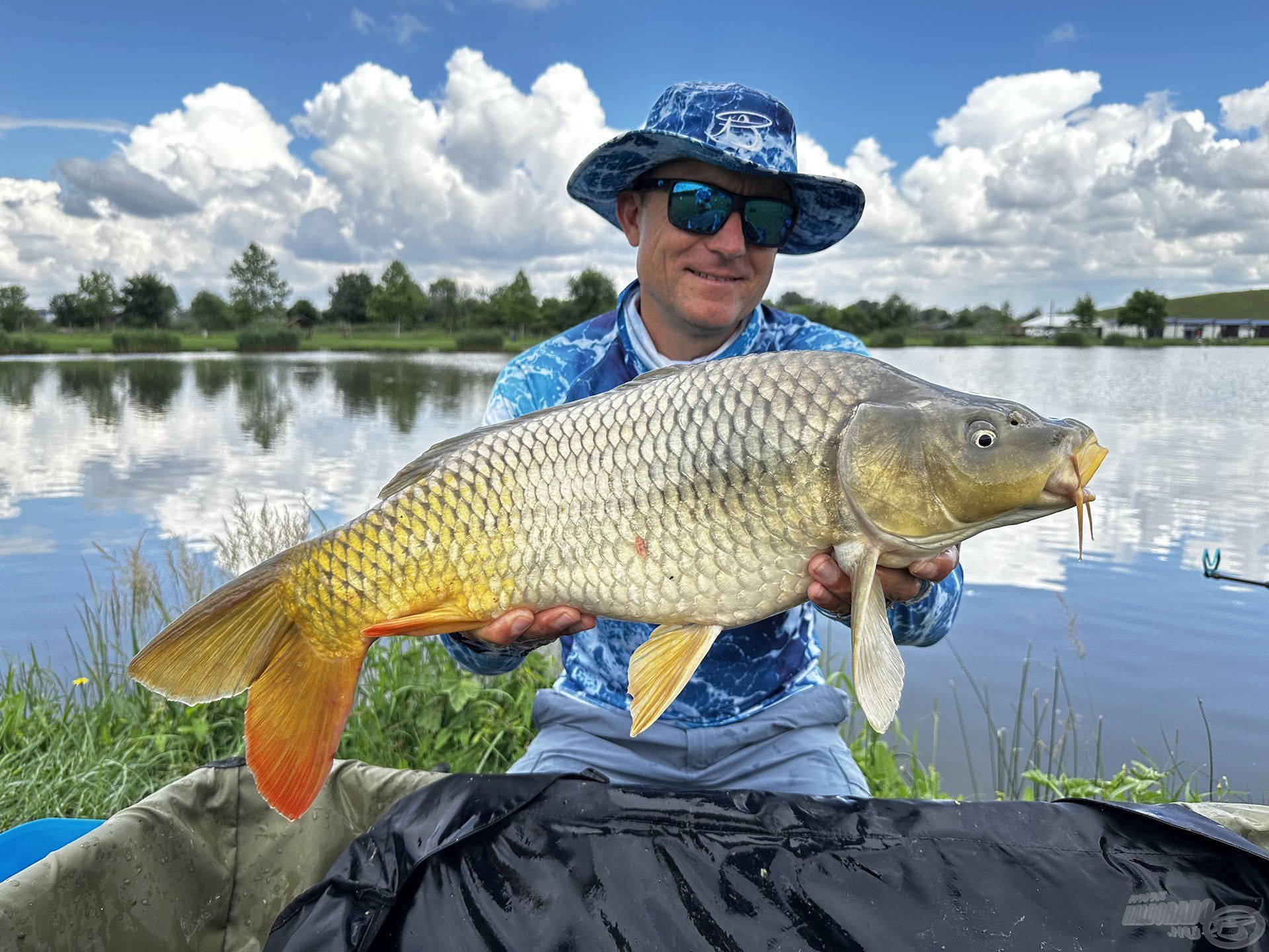 Ilyen szép halak élnek a Kiskunhalason, az Ezüst-tó Horgászcentrumban, gyere el és fogj Te is belőlük!