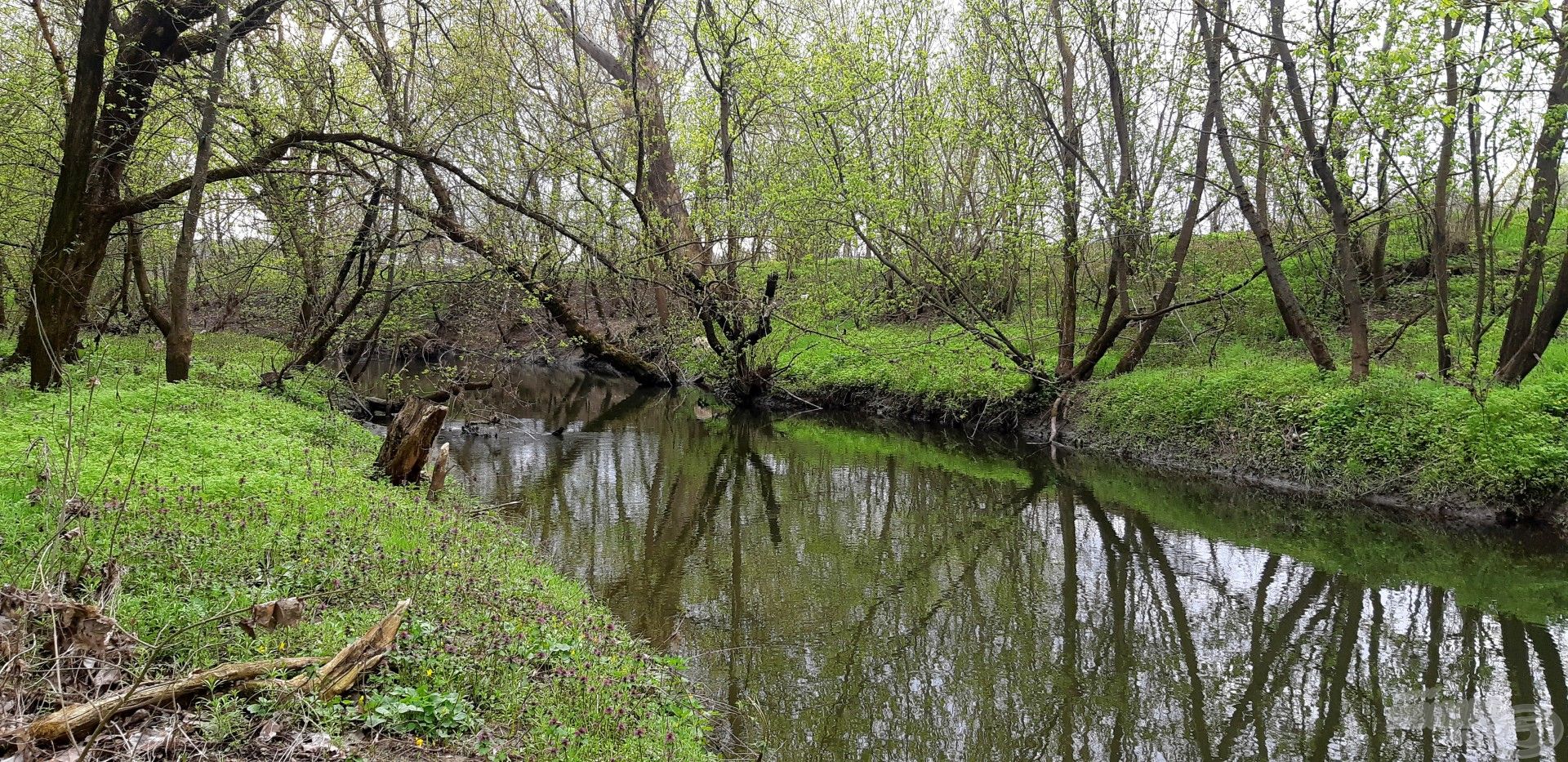 Éledezik a természet kedvenc folyómon