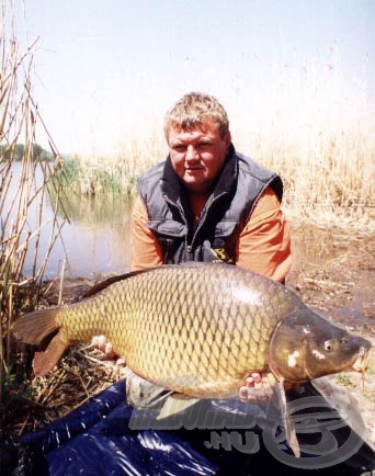 tőponty, 18,20 kg