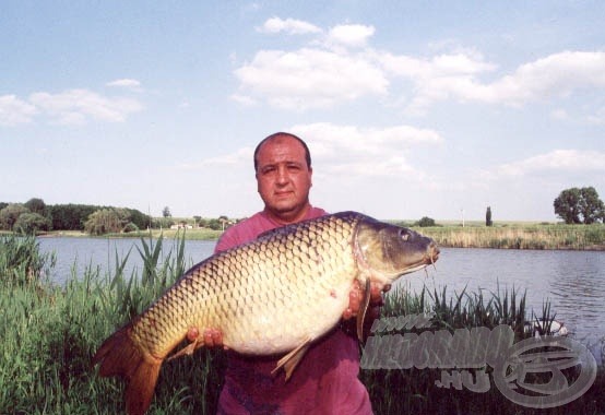 tőponty, 14,7 kg