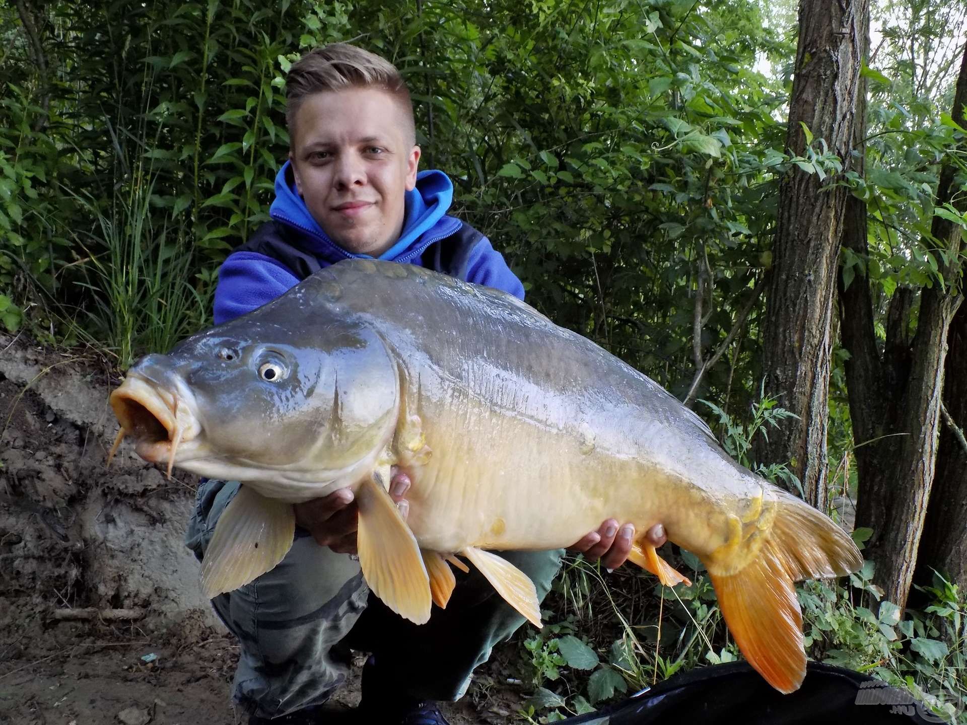 20 perces hajnali fárasztás végén egy gyönyörű, 10 kg feletti tükörpontyot tarthattam a fényképező elé…