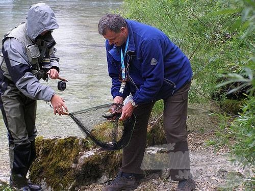 Csak a pályabíró érintheti a halat (Szlovén EB 2006.)