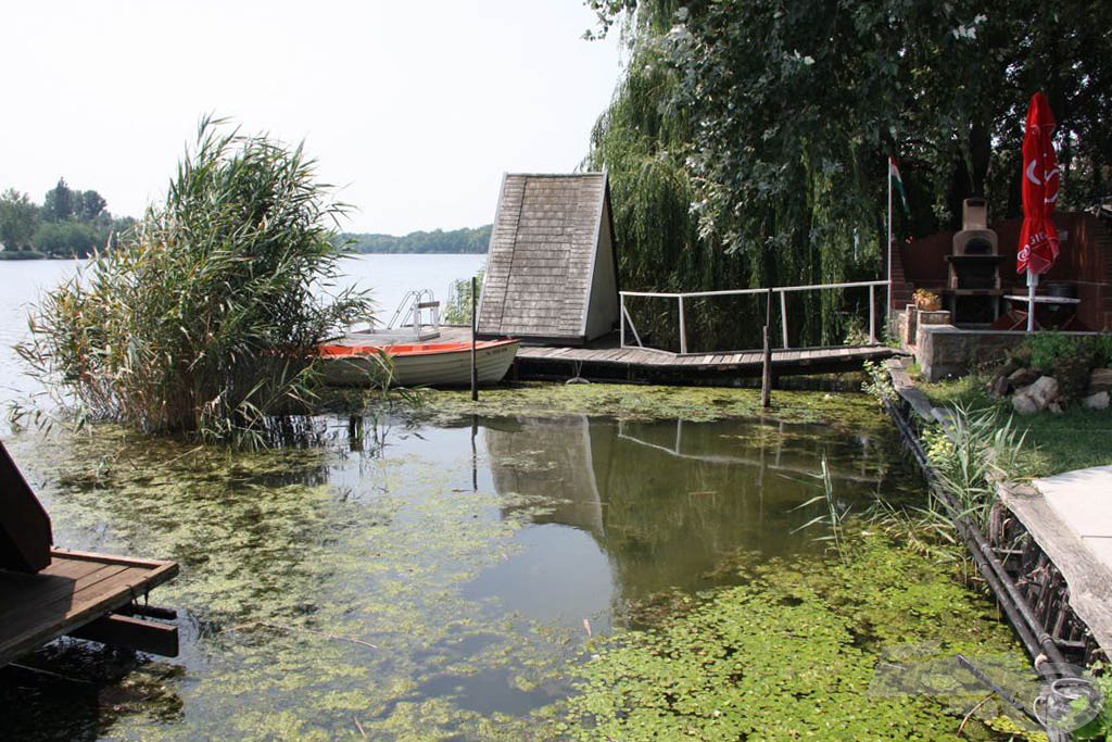 Szinte idilli környezet, hínármezővel, náddal, előttük stégekkel