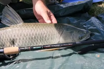 SPRO Pellet Waggler 420 by Döme Gábor matchbot bemutató