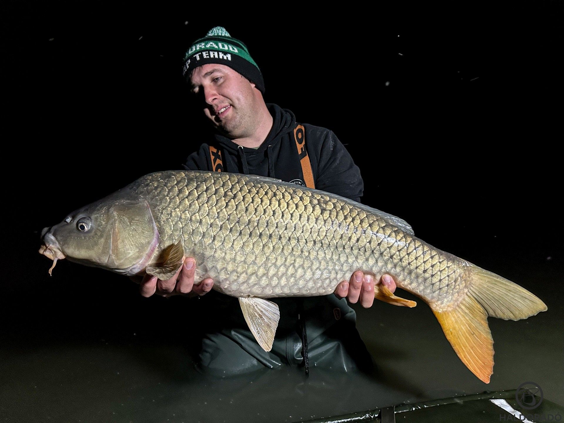 Formás pikkelyes követte