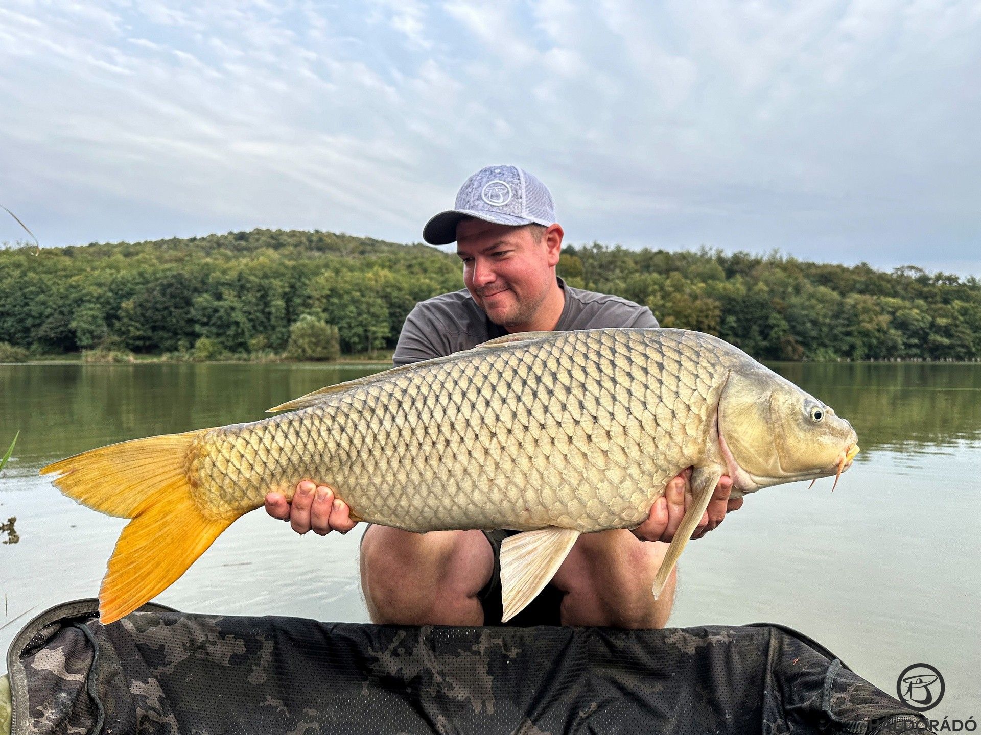 Egy harcos kis pikkelyessel kezdtem…