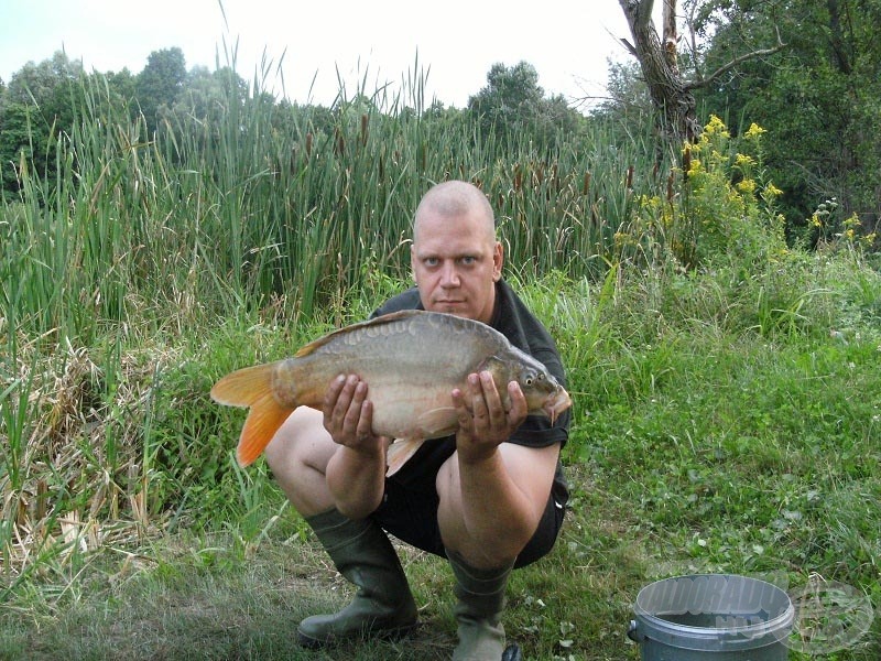 Egy szép, 5,5 kg-os potyka