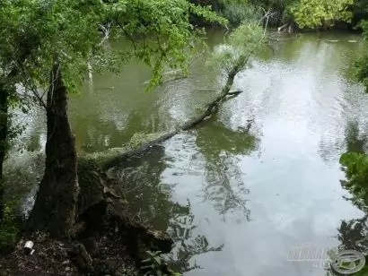 Szigetközi kalandjaim