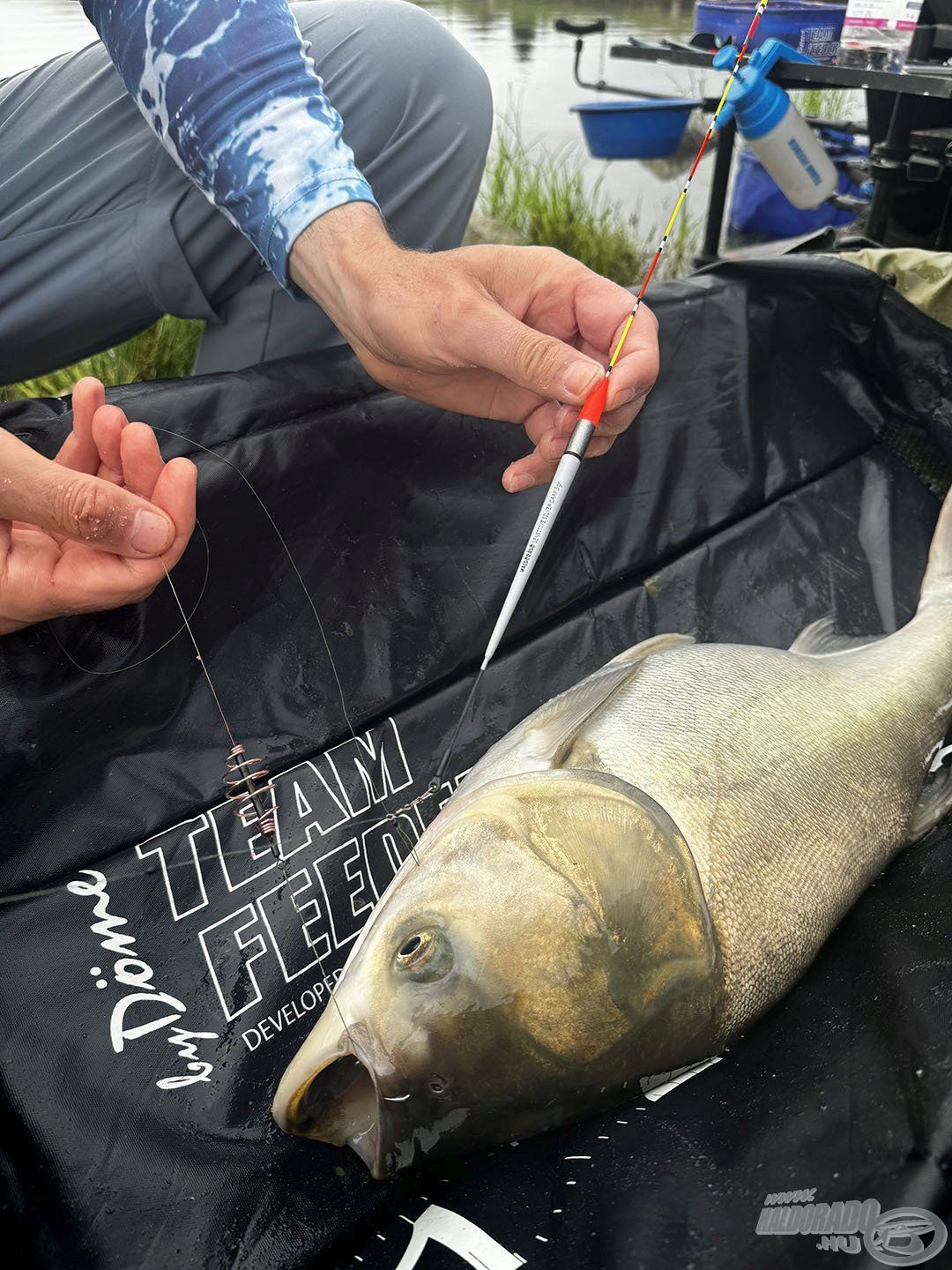 A vastagabb MAX Braxx - Super Soft Hook Line változatok akár busahorgászathoz is ideálisak lehetnek