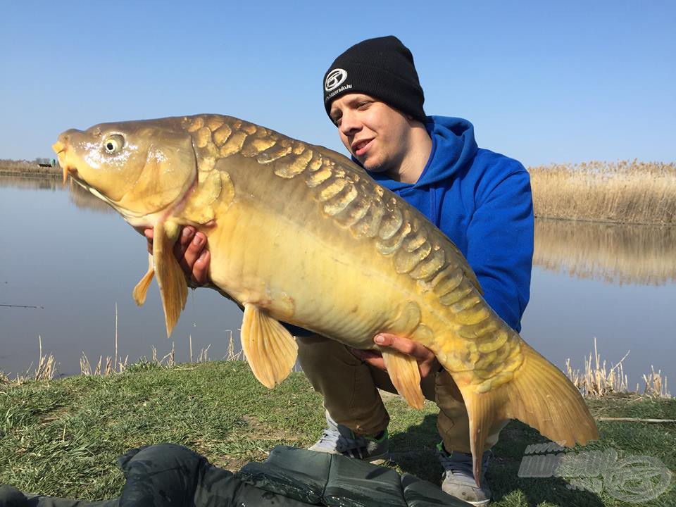 Rajzolni sem lehetne szebbet! 8,15 kg volt ez a szépséges tükrös