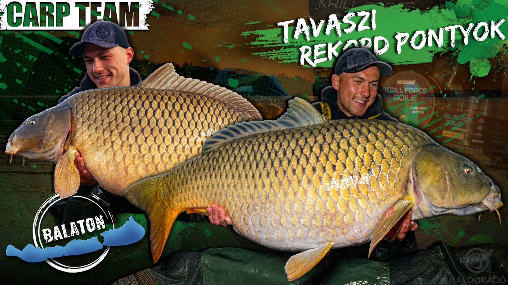 Tavaszi rekordpontyok a Balatonon