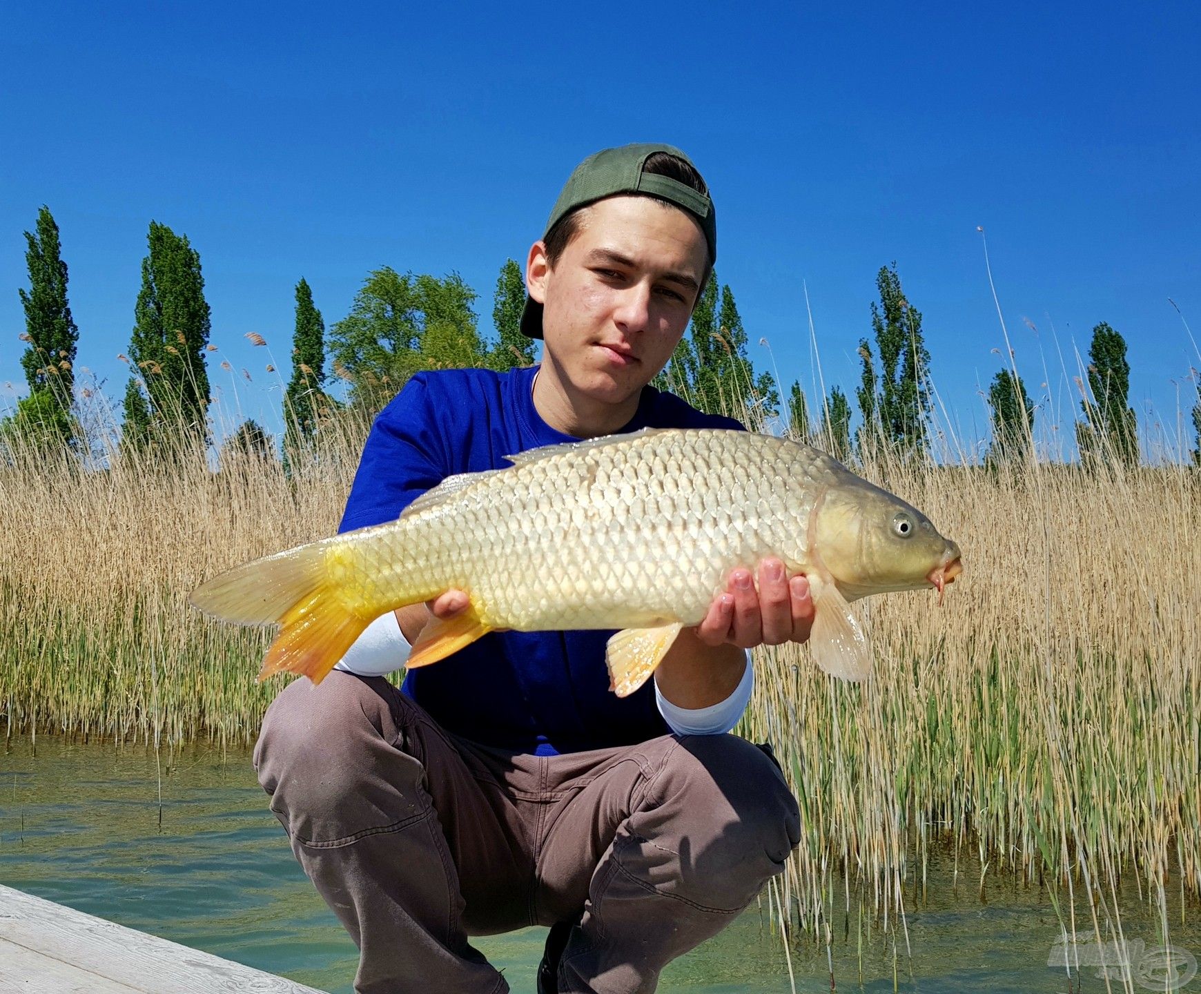 Balatoni átlag méret feederrel