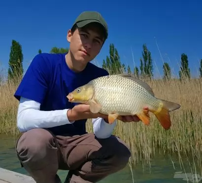 Tavaszindító pontyok a Balatonon