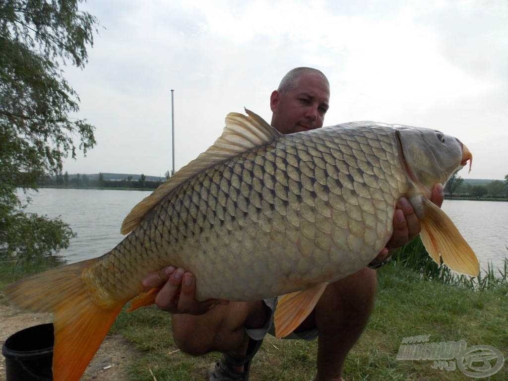 9,20 kg