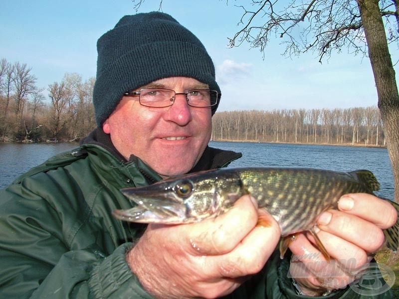 A szektorgyőzelmet jelentő csuka