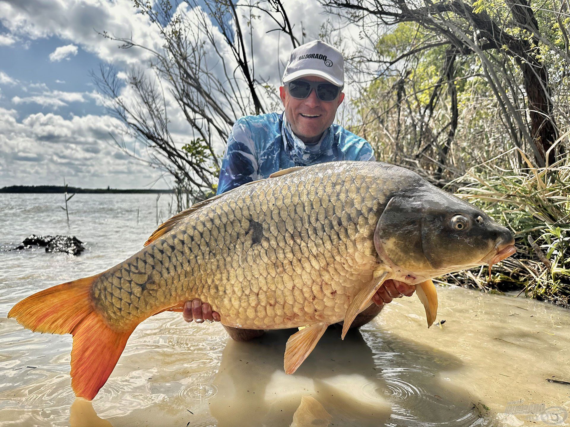 Sokat megélt, vad harcos, amely fél kg híján 20 kg-ot nyomott!