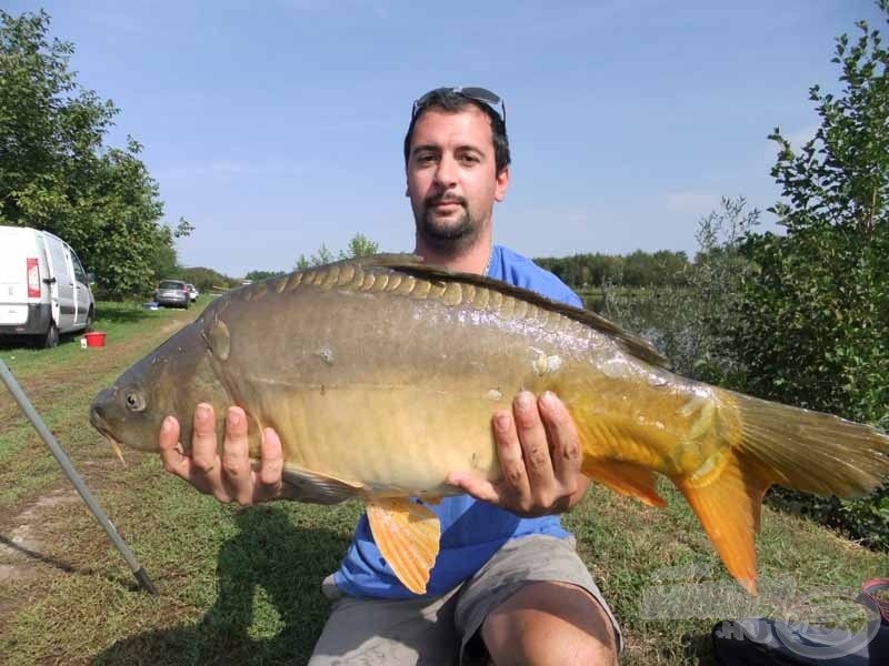 A nagytestű halak már a verseny elején jelentkeztek